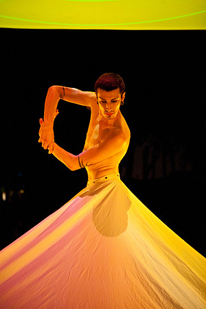 Aniccha Arts